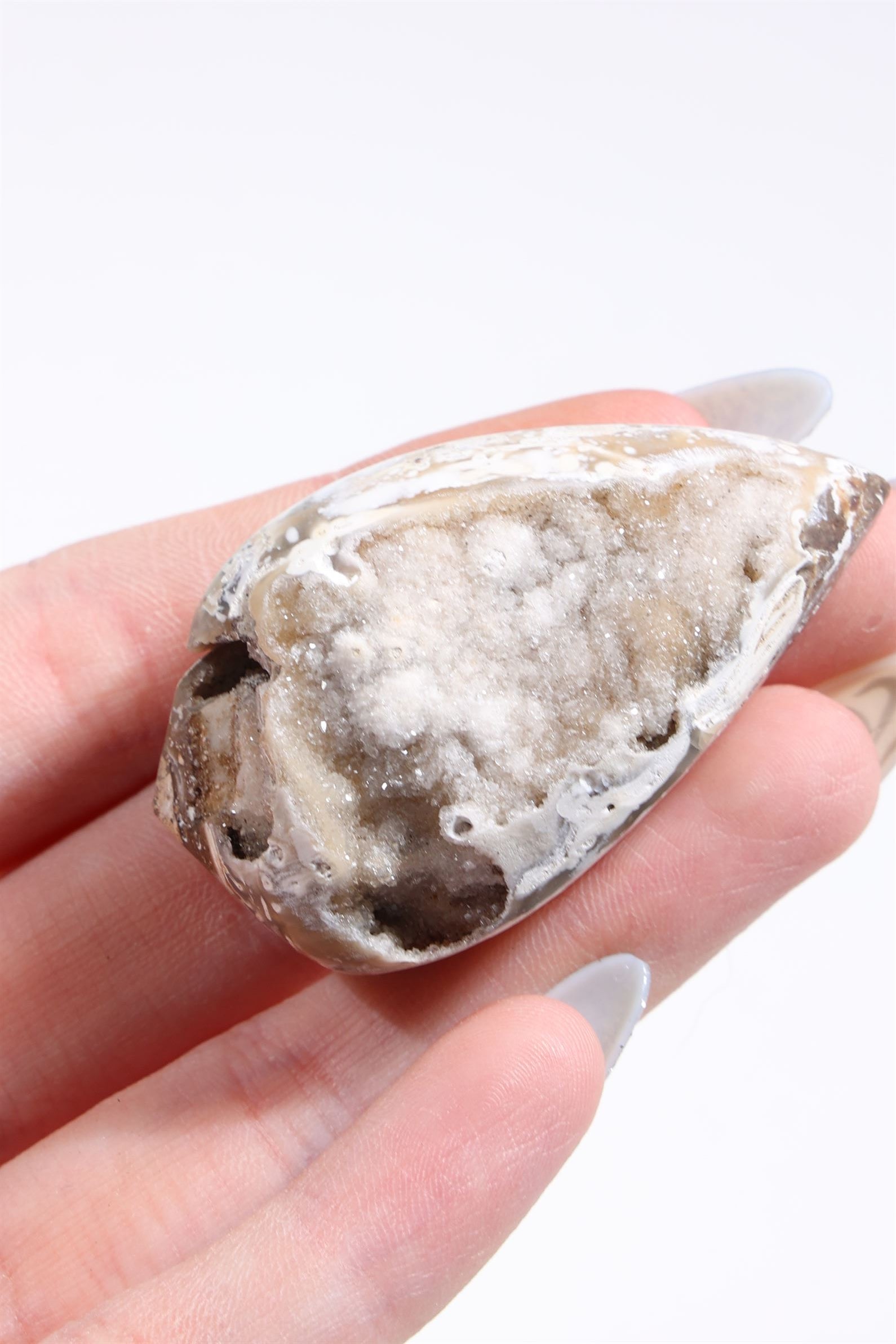 Agatized Druzy Shell