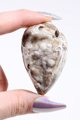 Agatized Druzy Shell