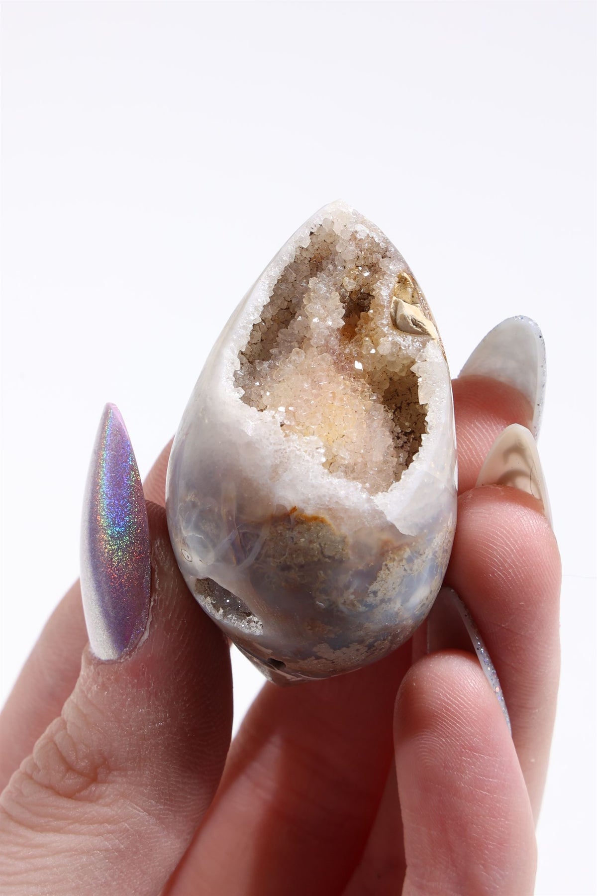 Agatized Druzy Shell (Drilled)