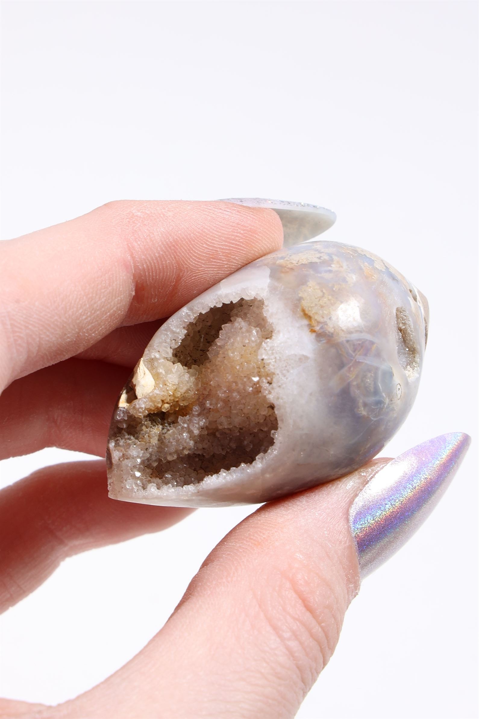 Agatized Druzy Shell (Drilled)