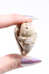 Agatized Druzy Shell (Drilled)