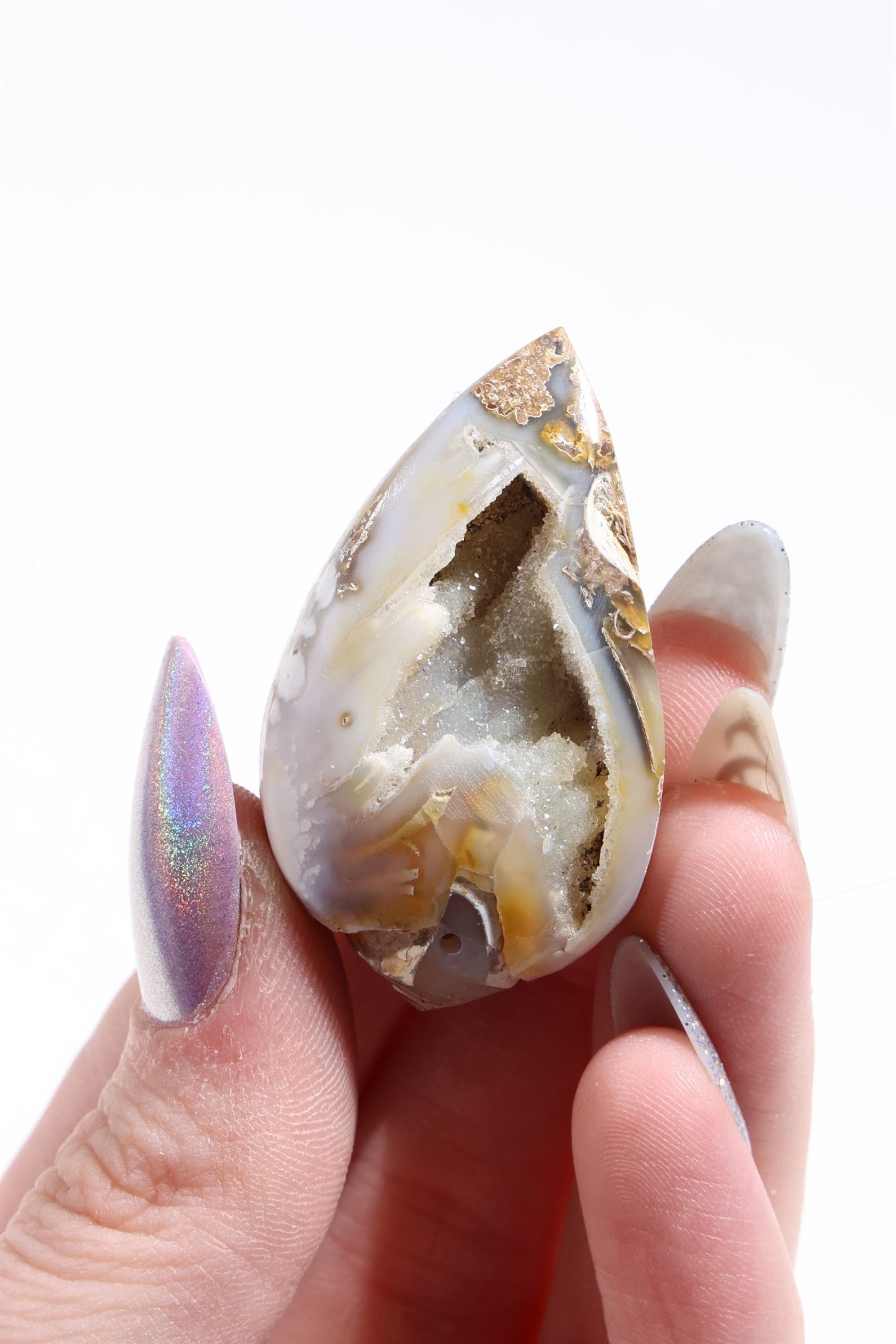 Agatized Druzy Shell (Drilled)