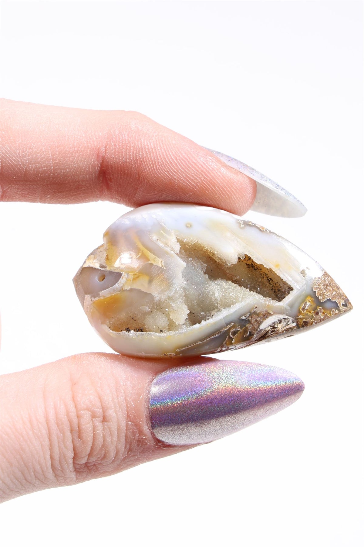 Agatized Druzy Shell (Drilled)