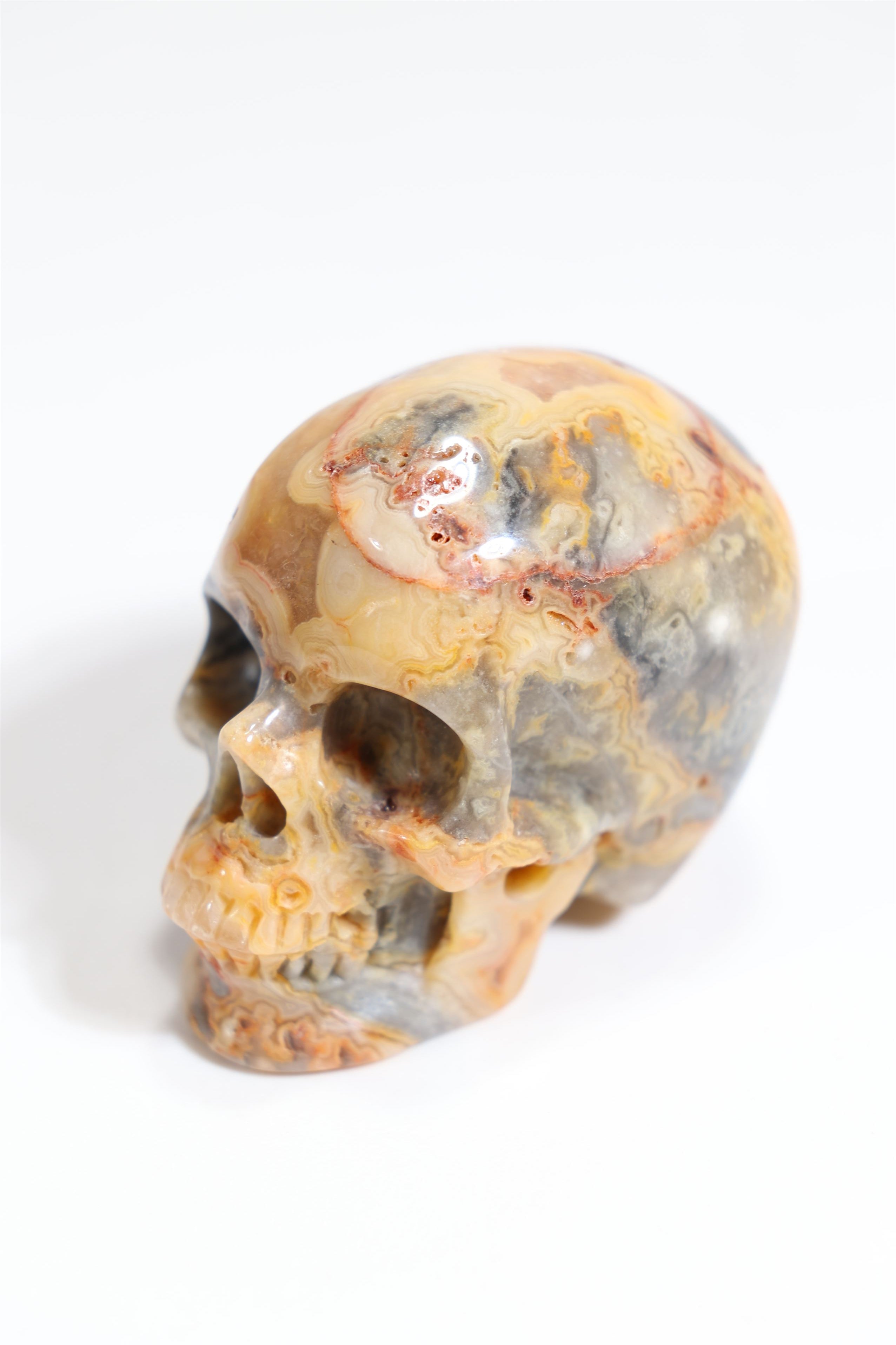 Crazy Lace Agate 2" Skull - Forgotten Rarities