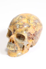 Crazy Lace Agate 2" Skull - Forgotten Rarities