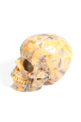 Crazy Lace Agate 2" Skull - Forgotten Rarities