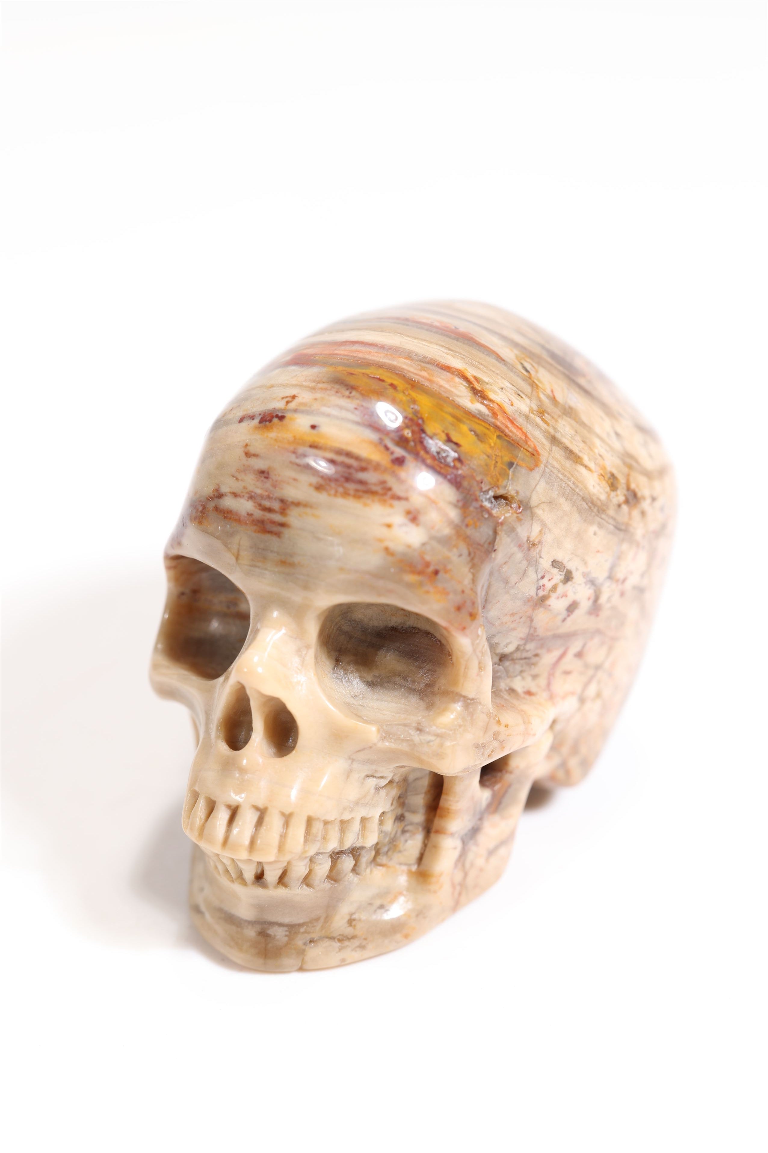 Petrified Wood 2" Skull - Forgotten Rarities