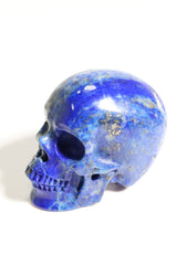 Lapis Lazuli 2" Skull - Forgotten Rarities