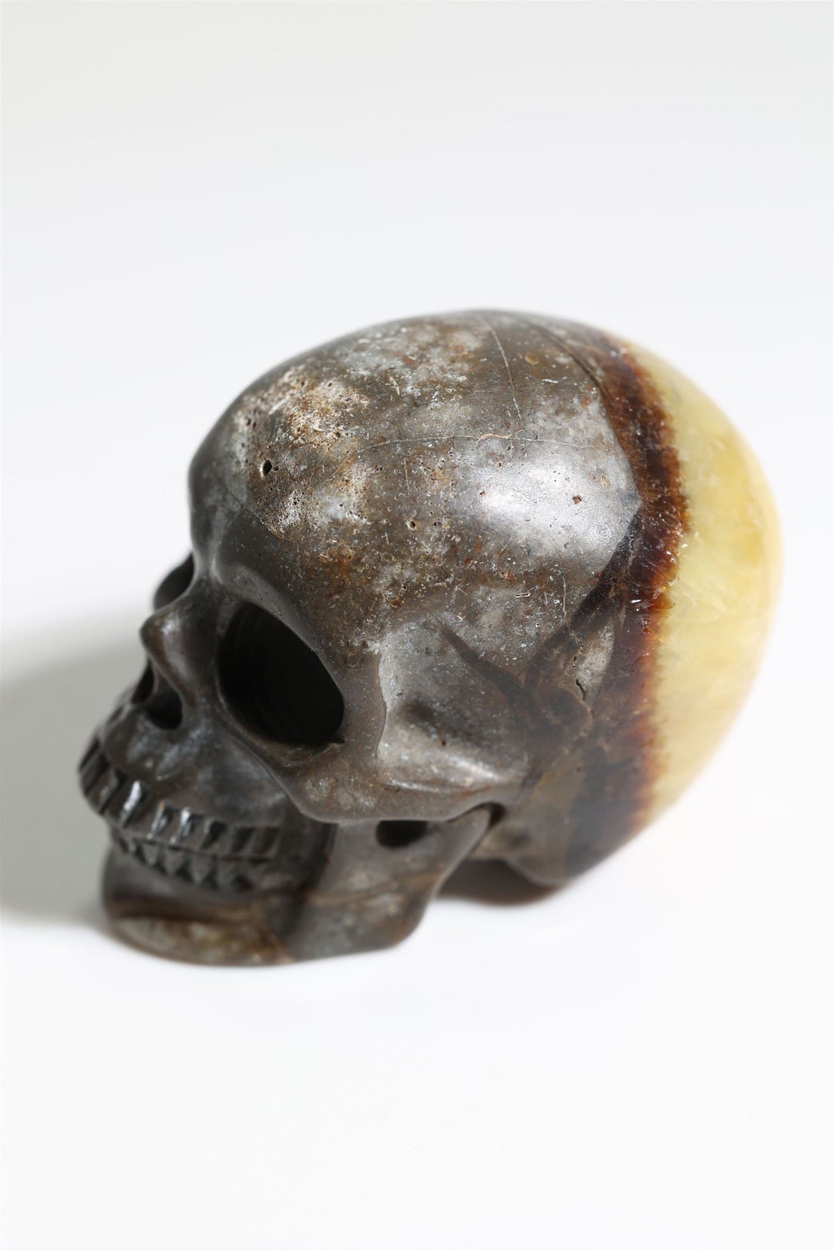 Septarian 2" Skull - Forgotten Rarities