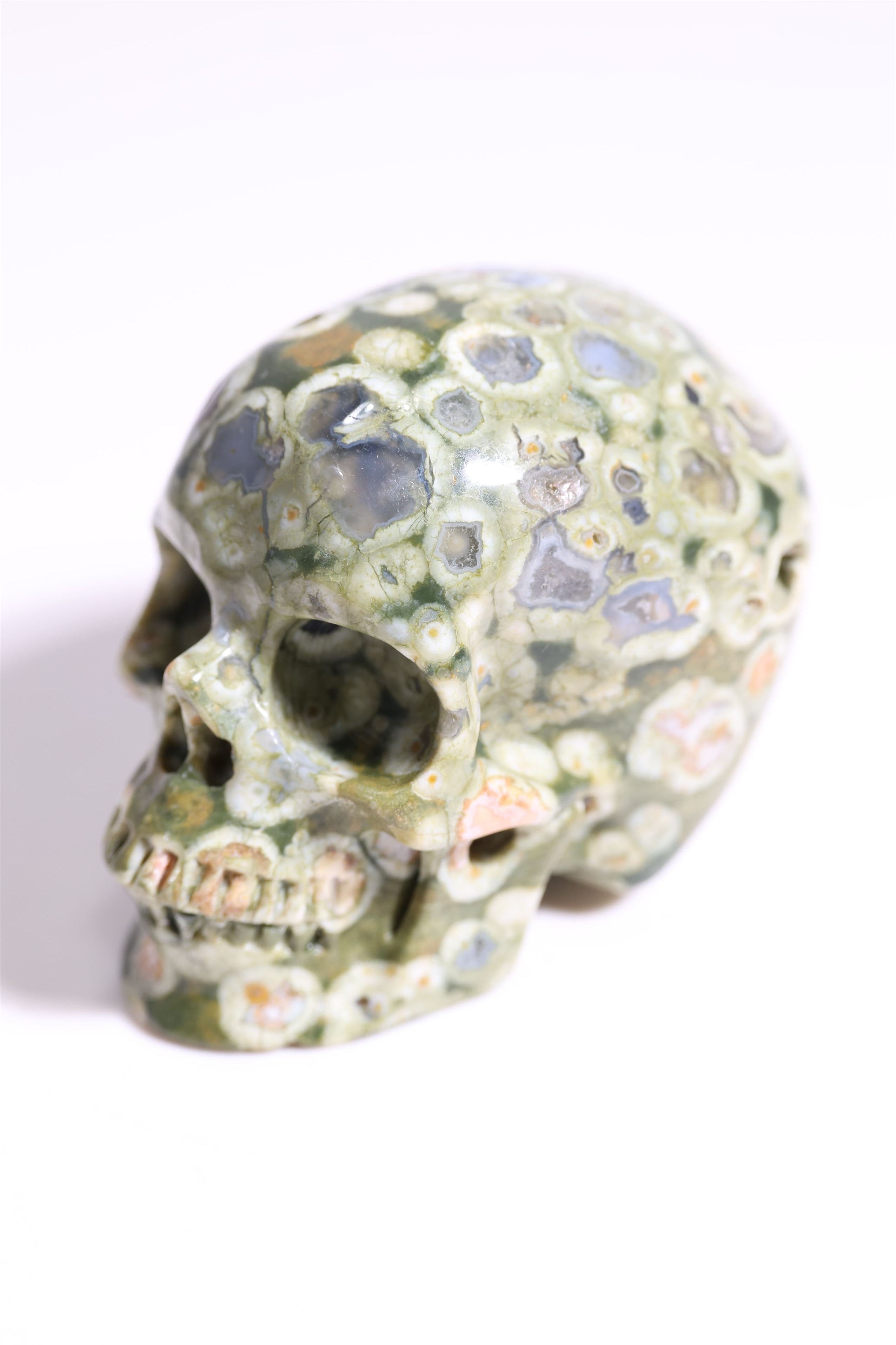 Rain Forest Jasper 2" Skull - Forgotten Rarities