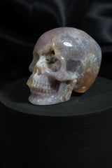 Flower Agate Skull with druzy Carving