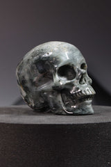 Hawk's Eye Skull Carving