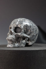 Picasso Jasper Skull Carving