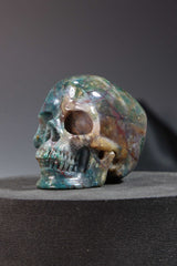 Ocean Jasper Skull Carving