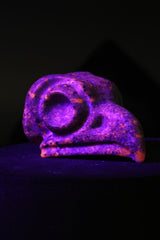 Yooperlite Crow Skull Carving