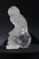 Clear Quartz Owl atop of Skull Carving