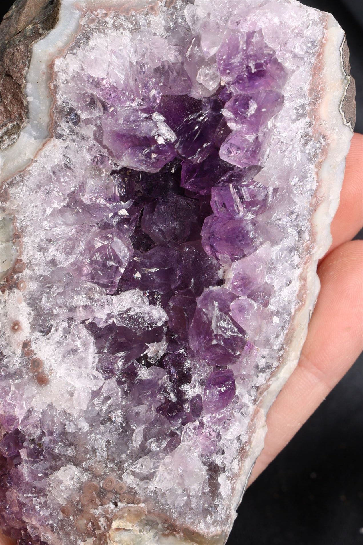 Voodoo Amethyst Cluster | Small