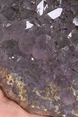 Voodoo Amethyst Cluster | Large