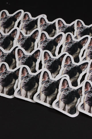 Who Dog - 'HUH' Meme Sticker