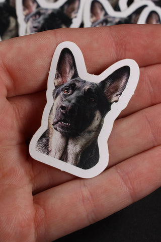 Who Dog - 'HUH' Meme Sticker