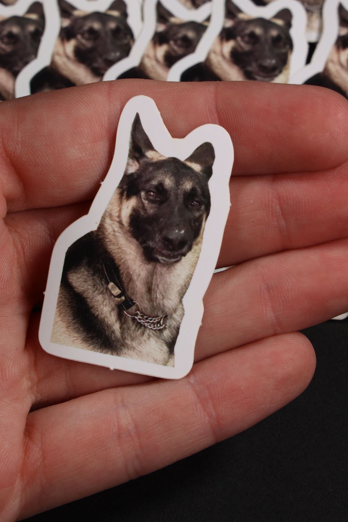 Who Dog - 'Cringe' Meme Sticker