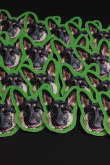 Who Dog - 'Being Silly' Sticker