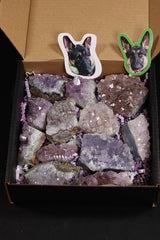 Voodoo Amethyst Special | Amethyst Clusters