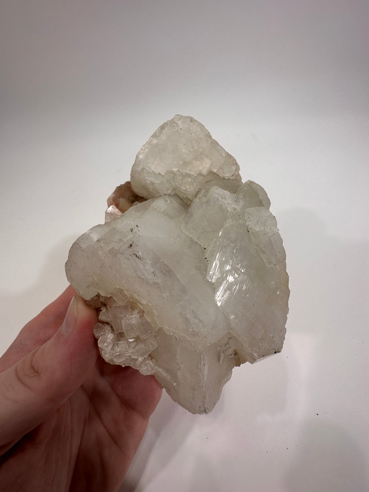 Apophyllite Cluster - Forgotten Rarities