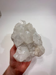 Apophyllite Cluster - Forgotten Rarities