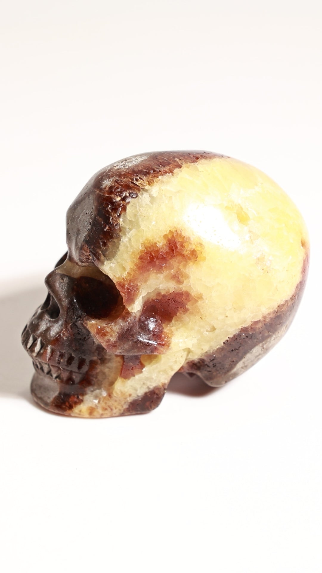 Septarian 2" Skull