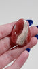 -AA GRADE - Rhodochrosite Cab (Drilled)