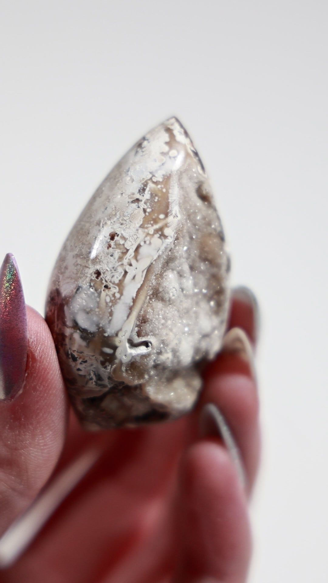 Agatized Druzy Shell