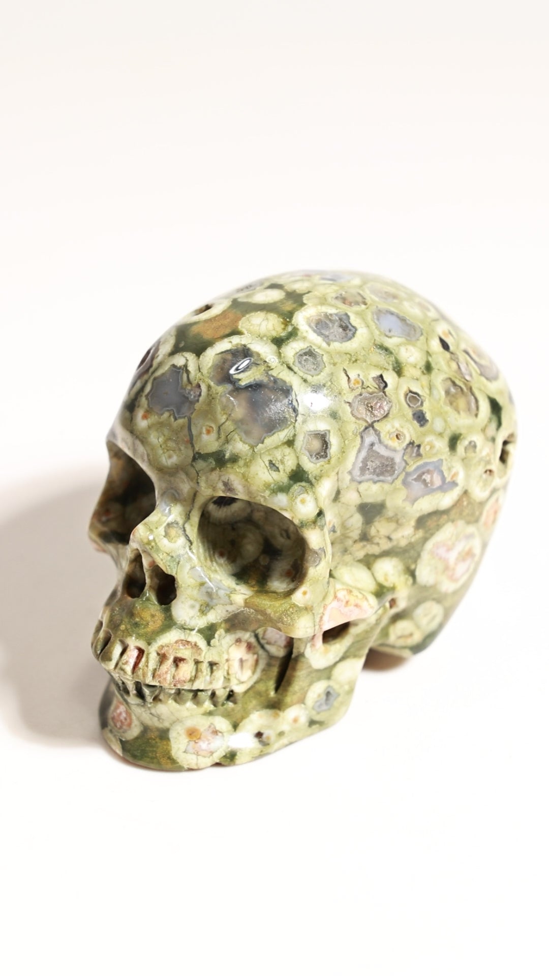 Rain Forest Jasper 2" Skull