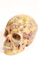 Crazy Lace Agate 2" Skull