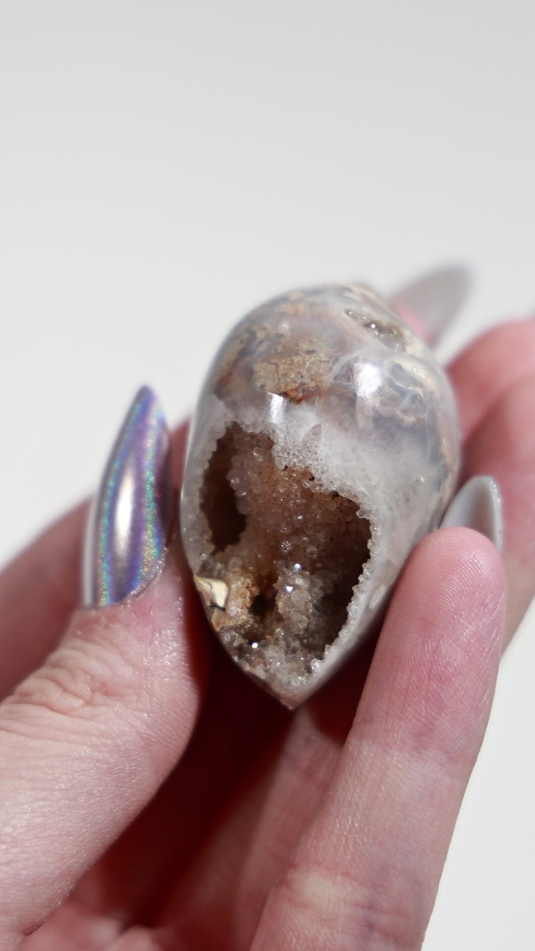 Agatized Druzy Shell (Drilled)