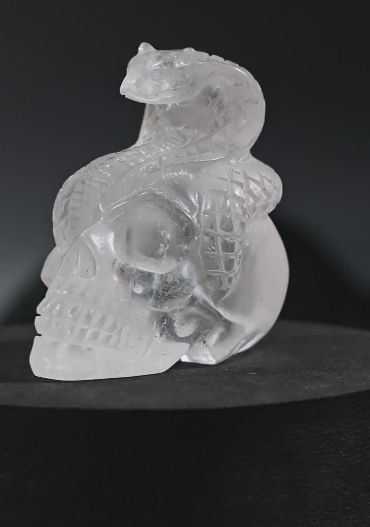 Clear Quartz Skull + Cobra Carving