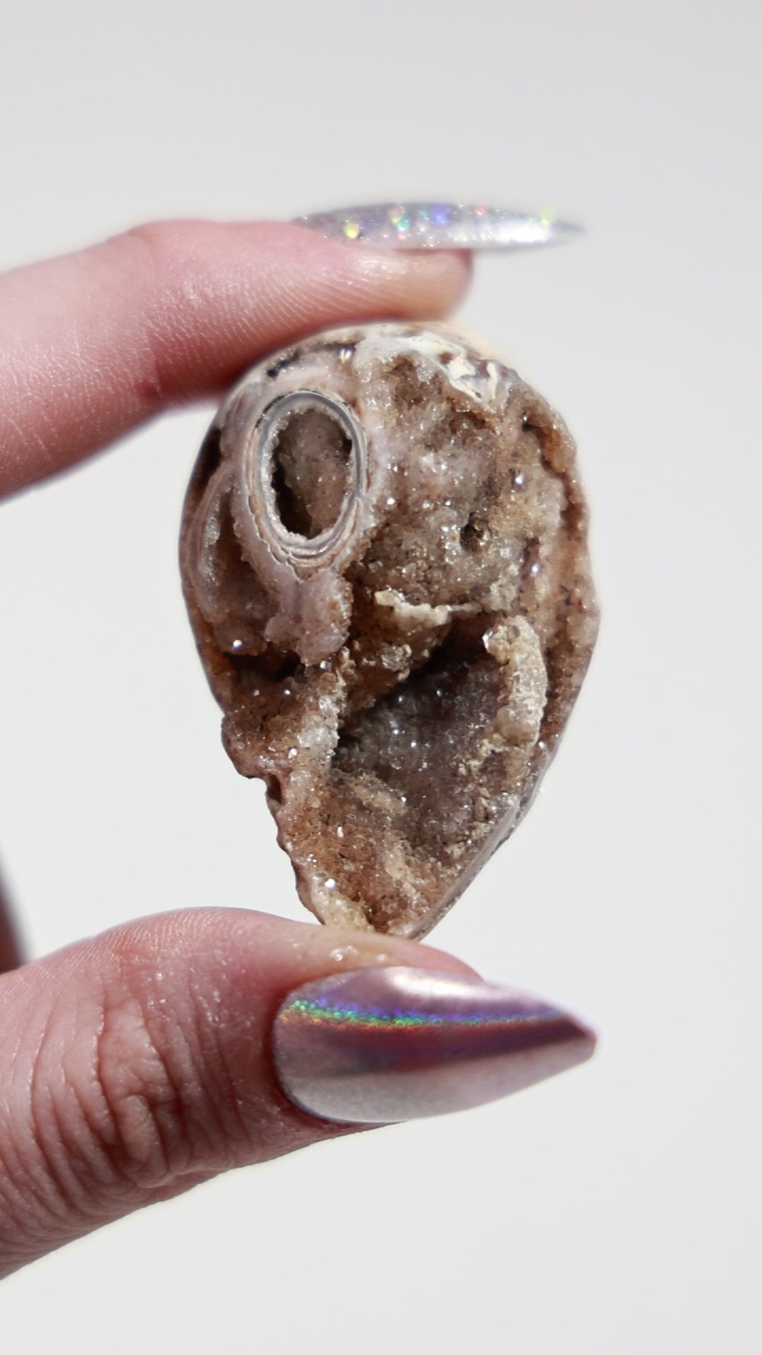 Agatized Druzy Shell (Drilled)