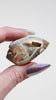 Agatized Druzy Shell (Drilled)