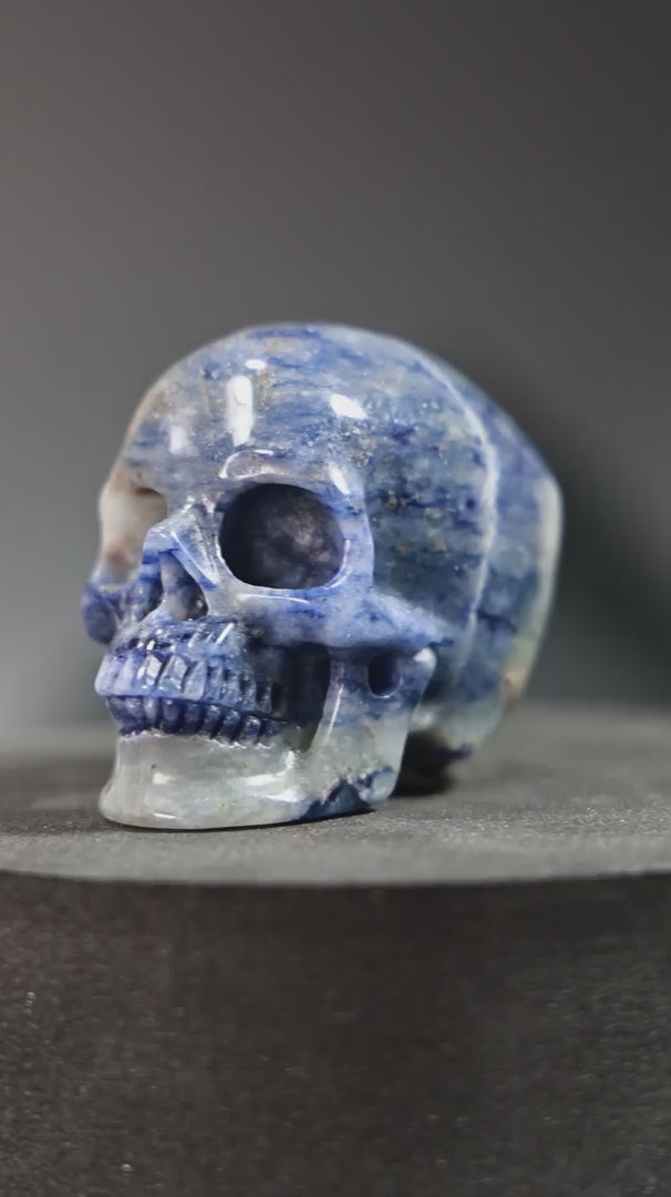 Sodalite Skull Carving