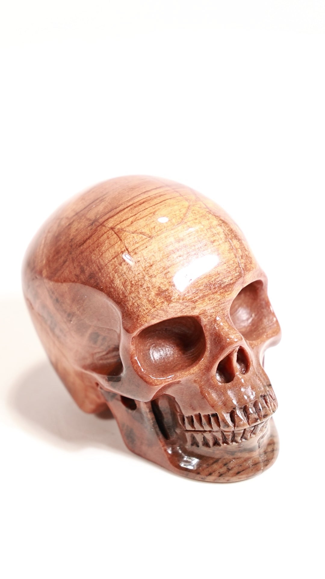 Petrified Wood 2" Skull