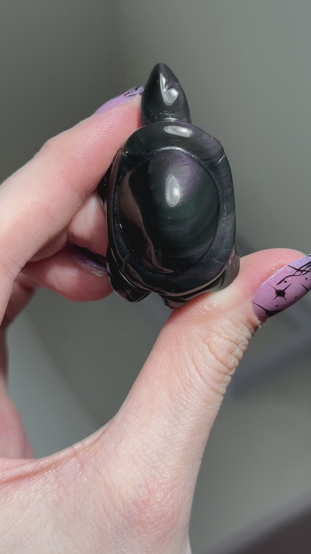 Rainbow Obsidian Turtle