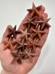 Starfish - Forgotten Rarities